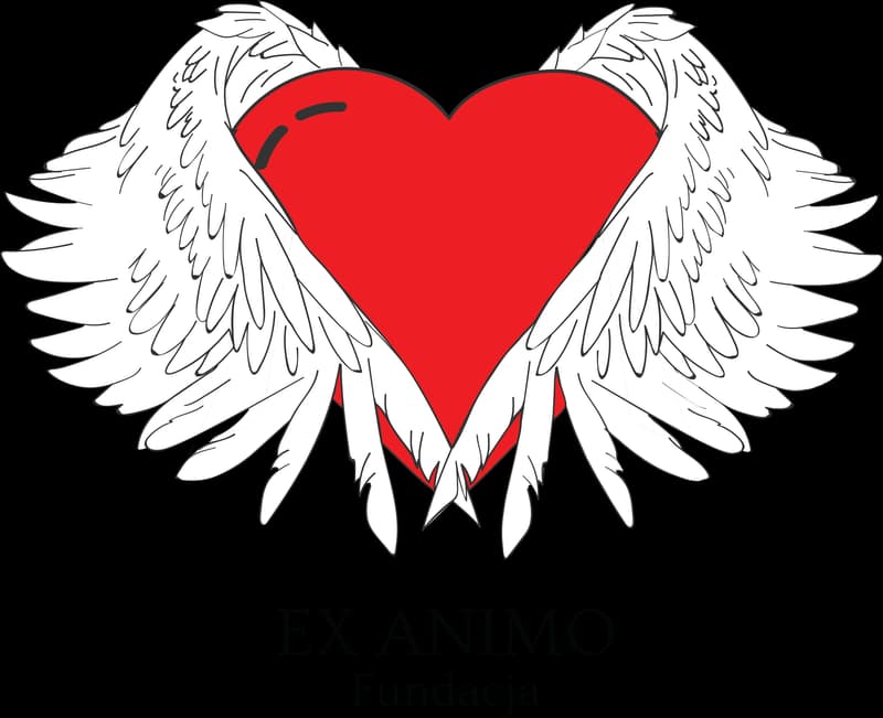 Fundacja Ex Animo
